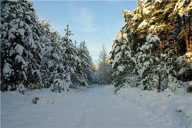 前PlayStation掌门人：《索尼大乱斗》有其独特重要性